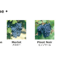 flax_赤ワイン品種