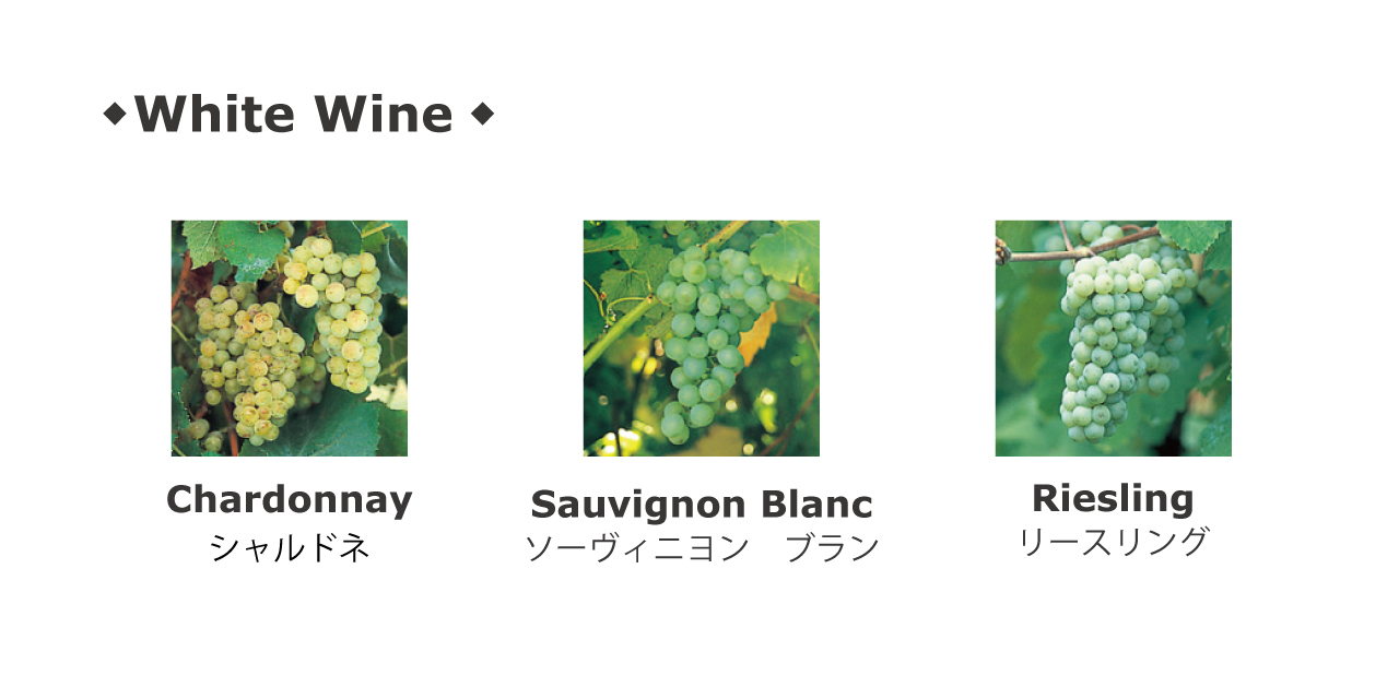 flax_白ワイン品種
